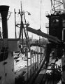 Hout lossen in de haven